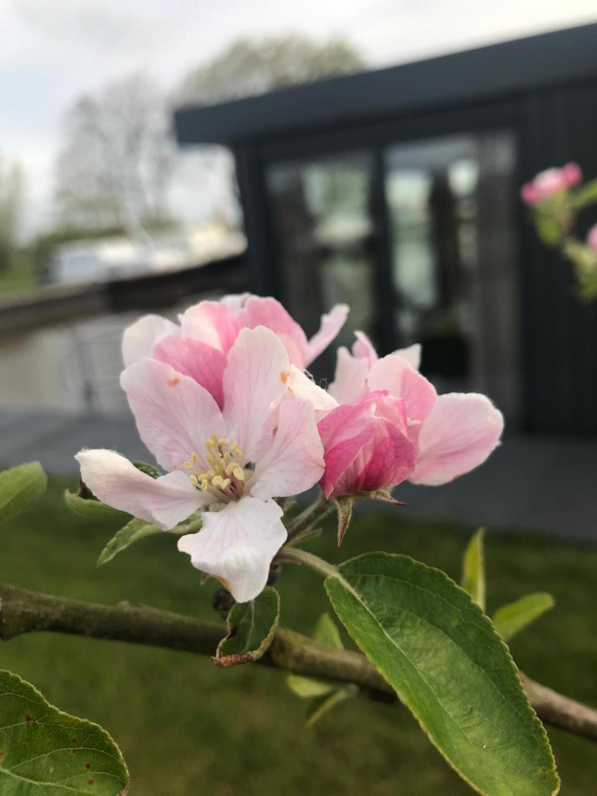 Uniek Overnachten In Een Tiny House Op De Appelhof Wommels Екстериор снимка