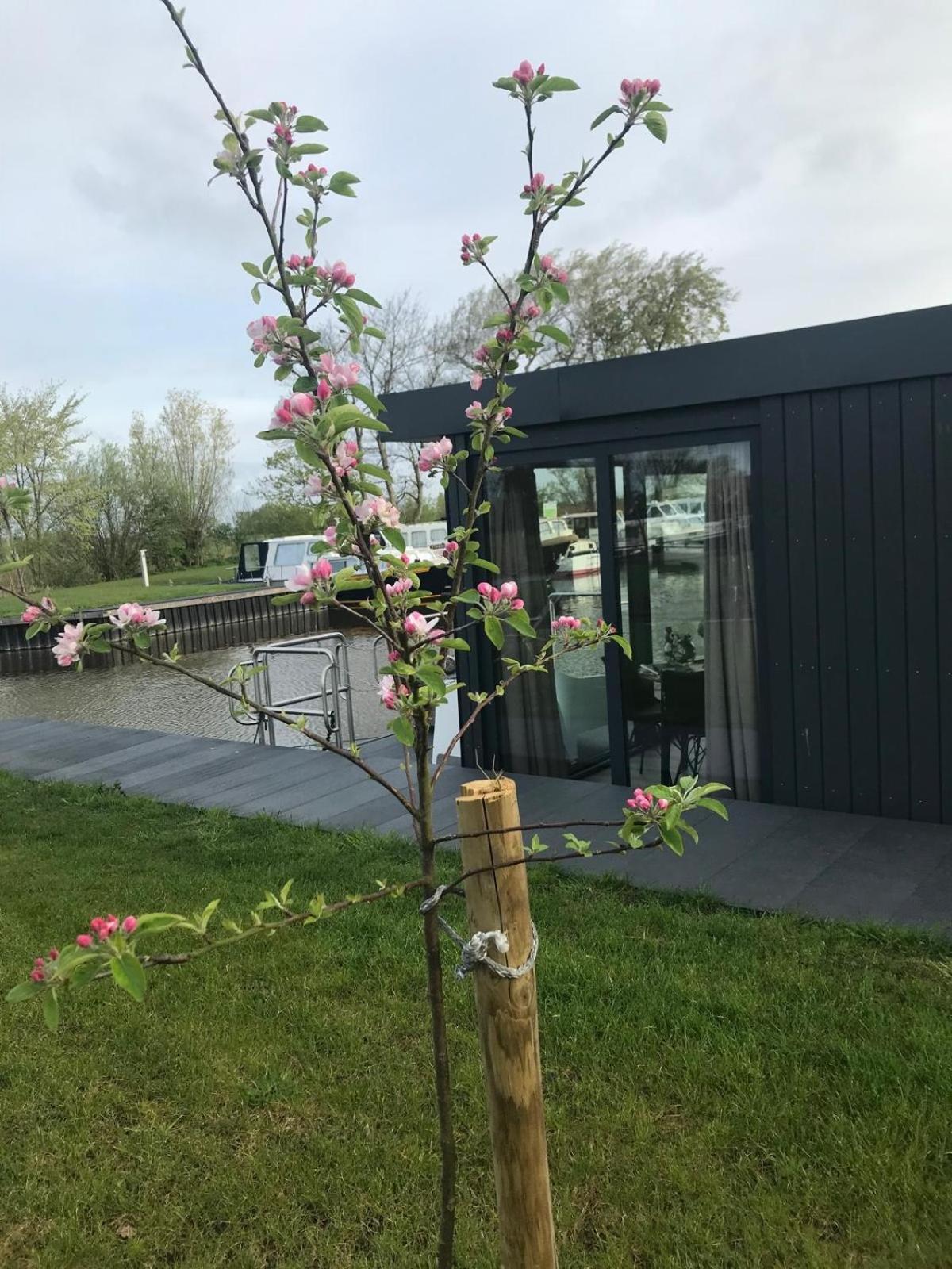 Uniek Overnachten In Een Tiny House Op De Appelhof Wommels Екстериор снимка